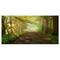 Designart - Suns Peeks into Forest - Landscape Photography Canvas Print